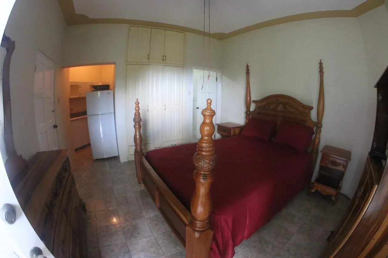 Tower Royal Apartment St Mary